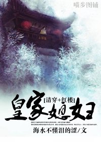 (综清穿+红楼同人)皇家媳妇