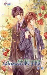 BOSS禁制手段(出书版)
