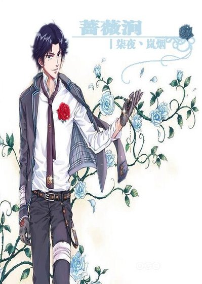 (网王同人)蔷薇涧