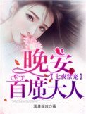 七夜禁宠:晚安,首席大人