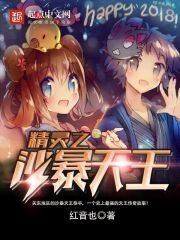 (寵物小精靈同人)精靈之沙暴天王