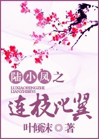 (陆小凤同人)连枝比翼