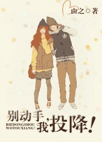 別動手,我投降!