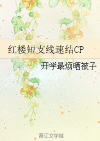 (红楼同人)红楼短支线速结CP