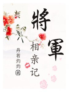 《将军相亲记》