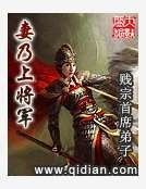 妻乃上將軍