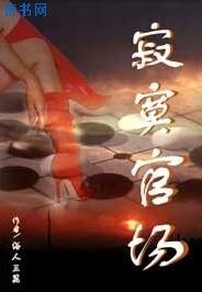 寂寞官场