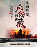 彩虹归处雨纷飞