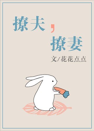 撩夫,撩妻