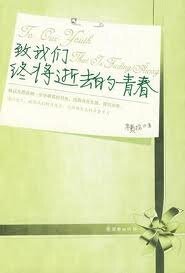 致我们终将逝去的青春(出书版)