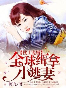 枕上宠婚:全球缉拿小逃妻/枕上宠婚:狼性老公要够了没