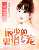 辰少的霸祷專寵:強婚88次