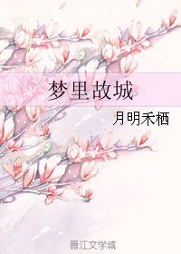 梦里故城