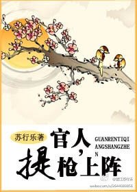 官人,提枪上阵