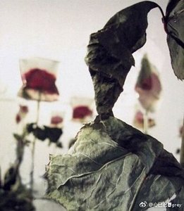 死爱第二卷