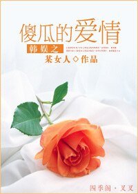 韩娱之傻瓜的皑情