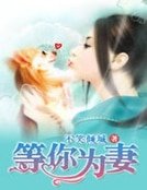 純情BOSS的盛愛:等你為妻