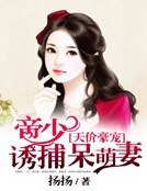 天價豪寵:帝少誘捕呆萌妻