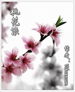 桃花浪+樑上非君子+成化廿年春+百花最深處(桃花浪系列)