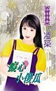 痴心小傻瓜(天地門之四)
