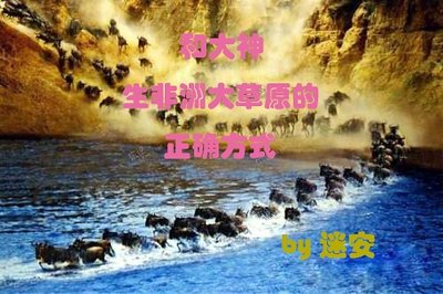 和大神生非洲大草原的正確方式