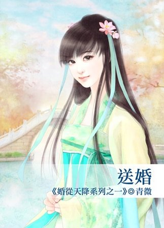 送婚(婚从天降系列之一)