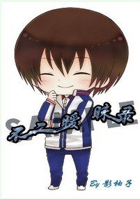(BL/网王同人)不二暧昧录