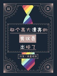 那个高大漂亮的男议员出柜了