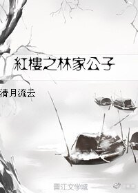 (BL/红楼同人)红楼之林家公子
