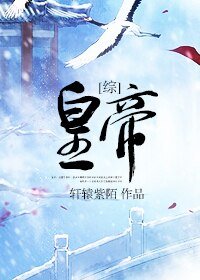 (BL/综同人)皇帝