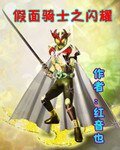 （假面骑士同人）假面骑士之闪耀