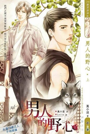 男人的野心(出书版)