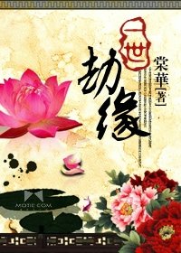 一世劫缘
