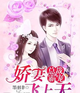 总裁霸宠:诀妻飞上天