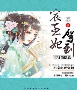 宸王妃嫁到:王爷请指教
