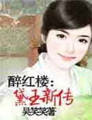 醉红楼:黛玉新传