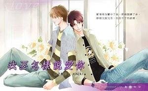 我要怎样说爱你（出书版）