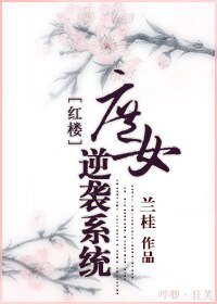 (紅樓同人)庶女逆襲系統/紅樓之庶女逆襲