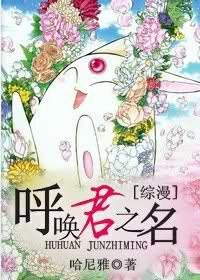 (综漫同人)综漫之呼唤君之名