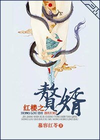 (红楼同人)红楼之赘婿