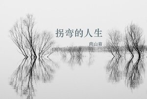 (綜電視劇同人)拐彎的人生