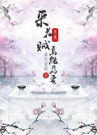 采花贼焉能为妻(女尊)