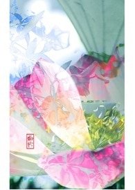 偏执~1对1(HE)虐文