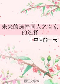 《(未来的选择同人)未来的选择同人之宥京的选择》