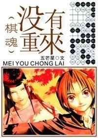 (棋魂同人)没有重来