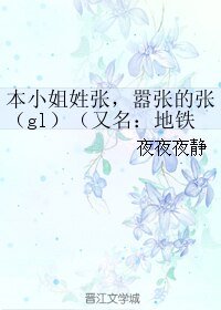 本小姐姓张，嚣张的张（gl）/地铁里的心灵悸动