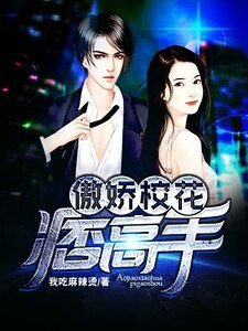 傲娇校花痞高手