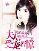 裸爱成婚:夫人,受宠若惊