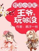 枕边小医妃:王爷,完够没