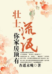 壮士,你家房顶有流氓